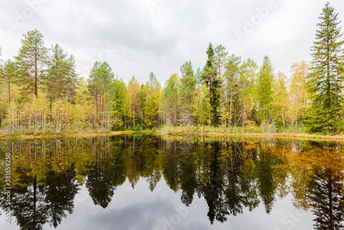 Small autumn lake in the taiga of the Arkhangelsk region, northern Russia © Lex Kryuchin