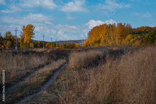 autumn landscape with trees