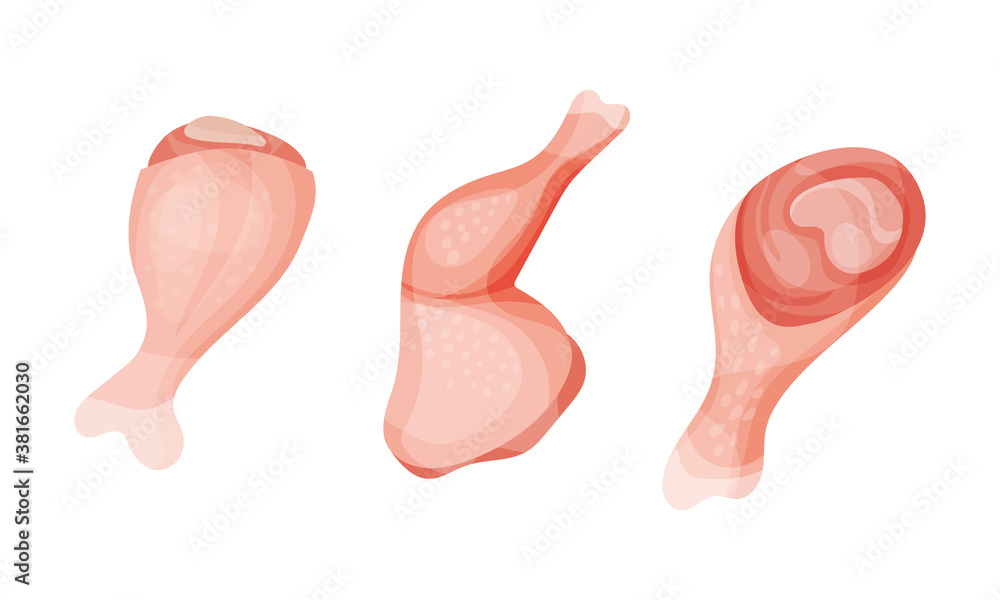 Chicken Meat Part with Hind Quarter and Leg as Farm Product Vector Set Chicken Meat Part with Hind Quarter and Leg as Farm Product Vector Set