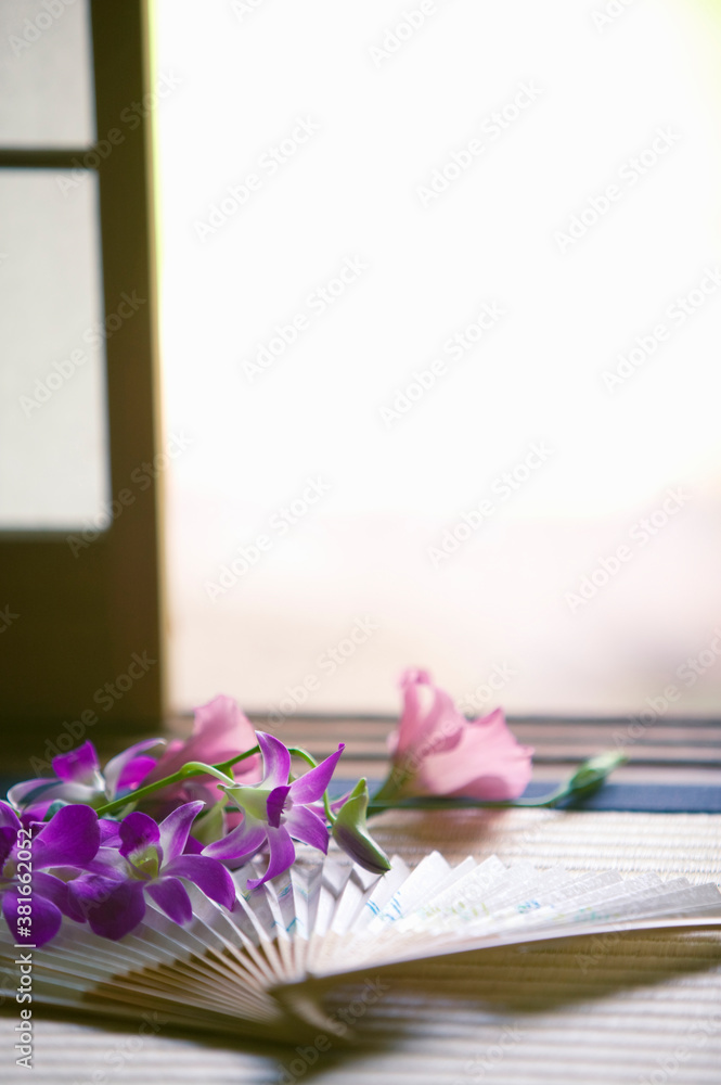 夏イメージ 夏イメージ