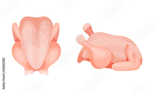 Chicken Meat Part with Whole Round or Carcass as Farm Product Vector Set