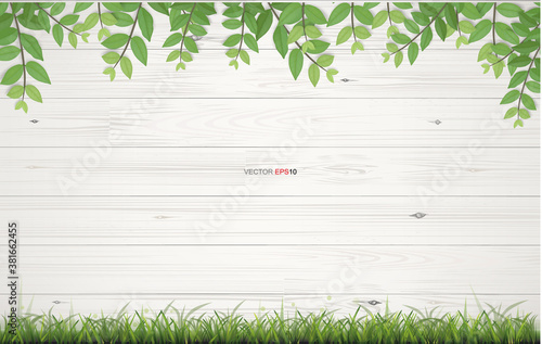 White wood texture background with framing of green leaves. Vector.