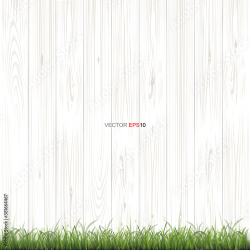 White wood texture background with green grass. Vector.