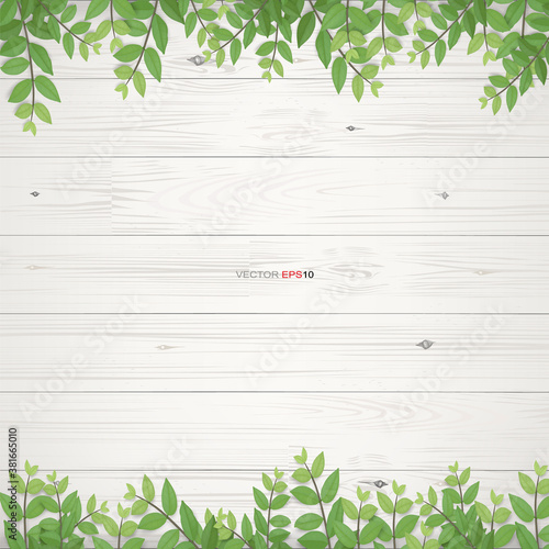 Wood texture background with green leaves.  Vector illustration.