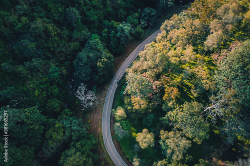 Forest, trees and green roads in the countryside from above. © artrachen