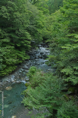 山奥の渓流