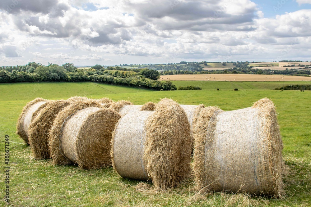 hay bales ready to be collected for animal fodder