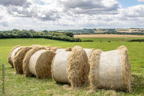 Fotografija hay bales ready to be collected for animal fodder
