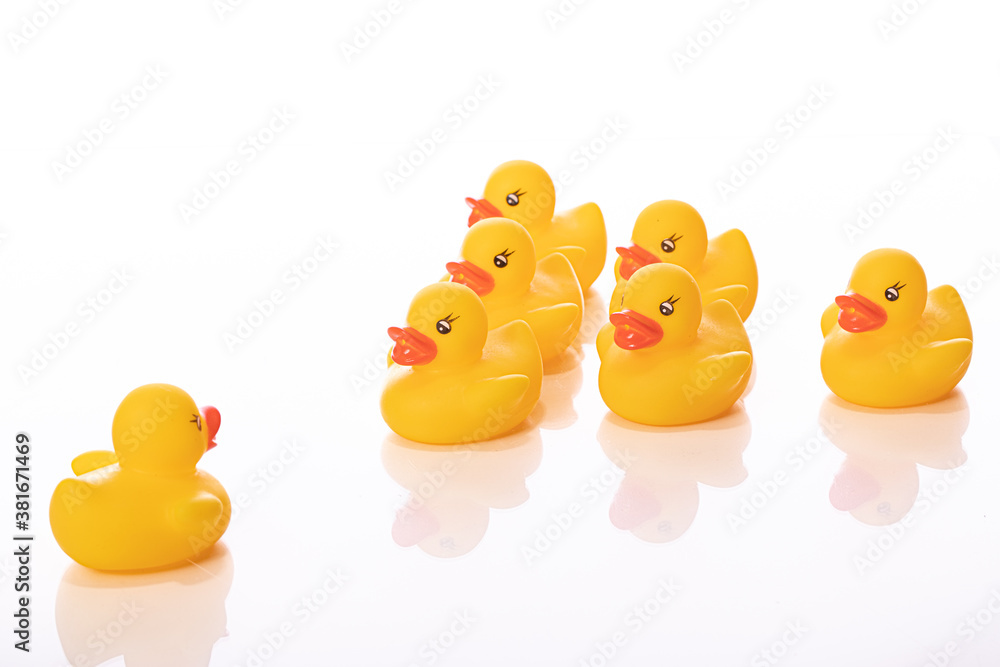Command concept. One yellow rubber duck stand in front of wedge of ducklings isolated on white background. Dictator, ruler, big brother, captain, dependence, subordination, supervisor, instructor Command concept. One yellow rubber duck stand in front of wedge of ducklings isolated on white background. Dictator, ruler, big brother, captain, dependence, subordination, supervisor, instructor