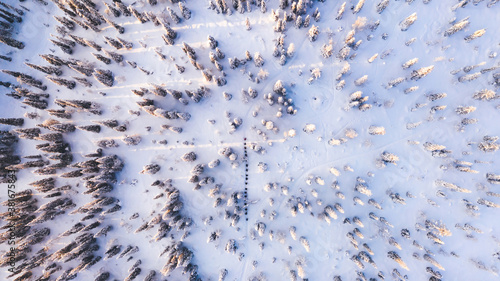 Bird’s eye aerial view, group of travelers walk together on snowy path in white coniferous forest trees covered by snow, tourists discover lands on expedition in Lapland. Trekking in Riisitunturi park © BullRun