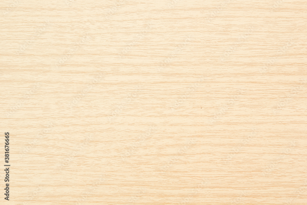 texture of bark wood use as natural background texture of bark wood use as natural background