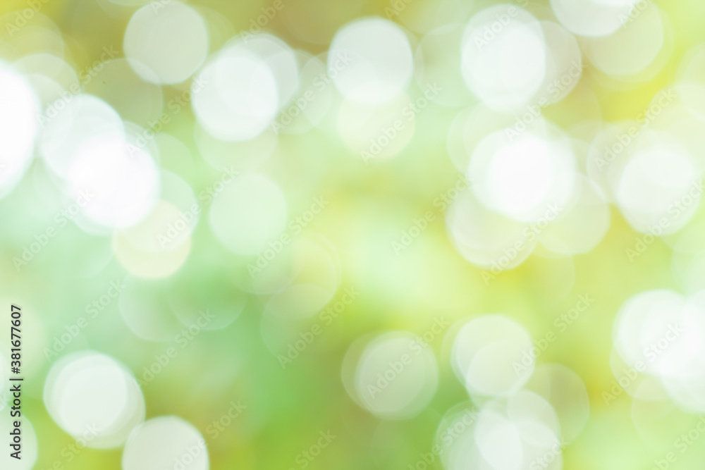 Fototapeta premium green bokeh background