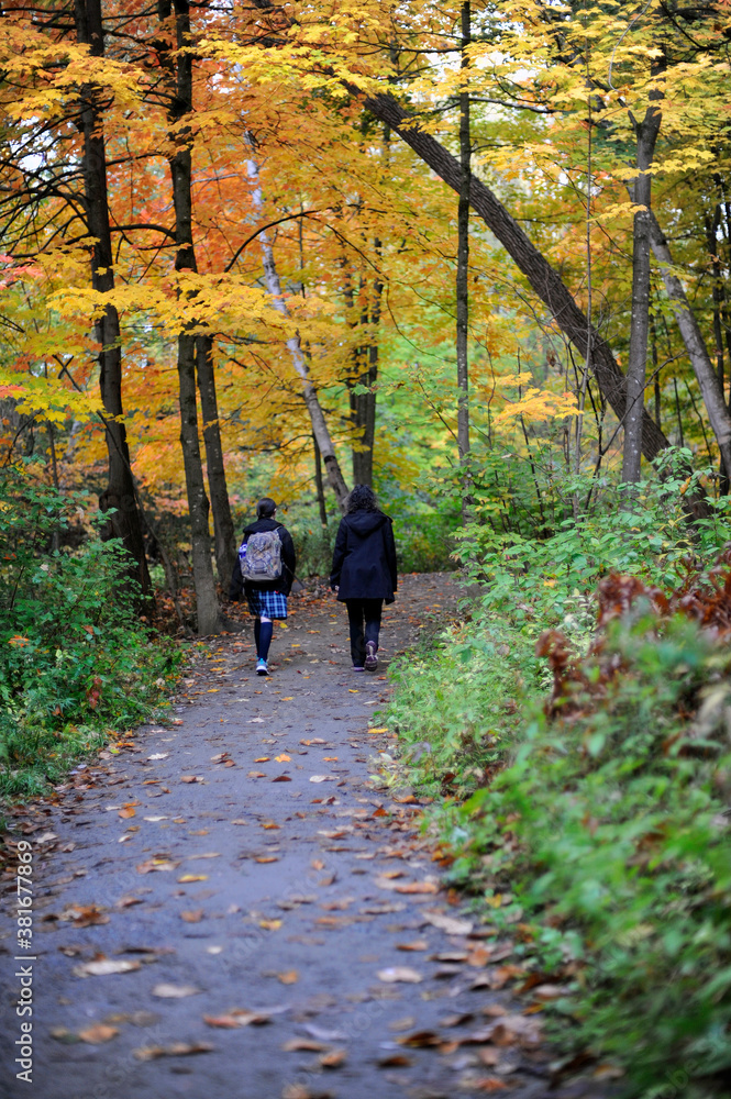un mère et sa fille marchent dans un boisé en automne pour aller à l'école un mère et sa fille marchent dans un boisé en automne pour aller à l'école