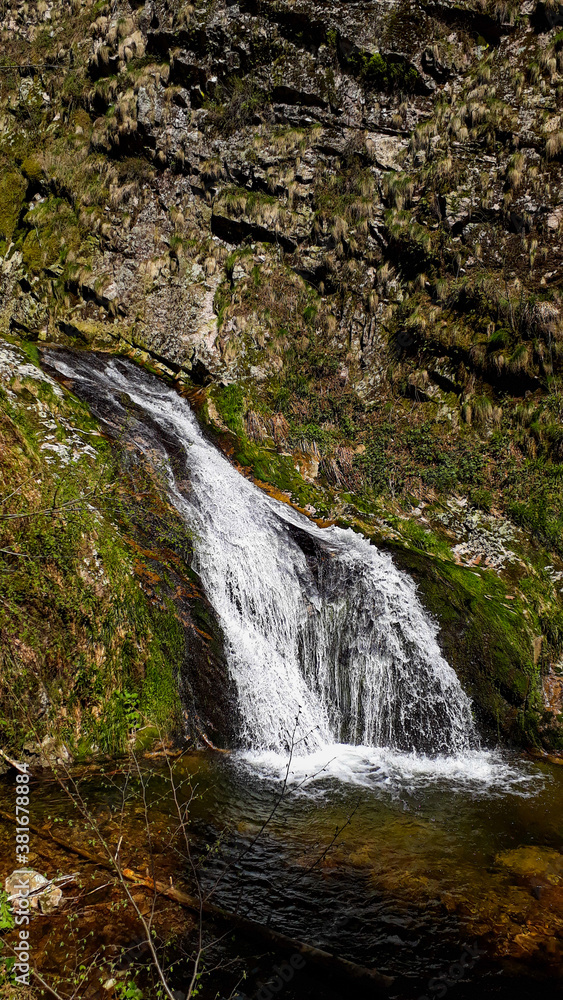 Obraz premium waterfall in the forest