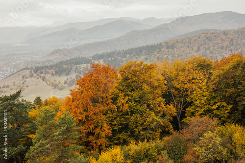 Romanian mountains in autumn season. Amazing orange autumn colours in the forest. Autumn Collection.