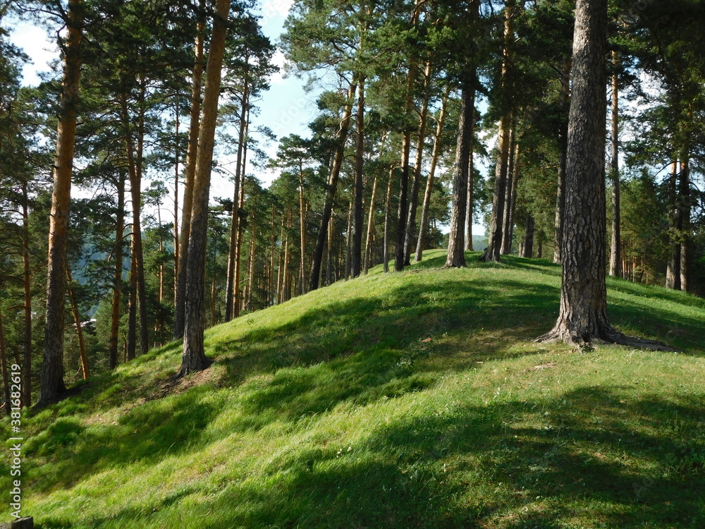 Obraz premium nature