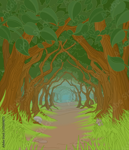 A fairytale fantasy magic woodland forest trees tunnel background landscape scene