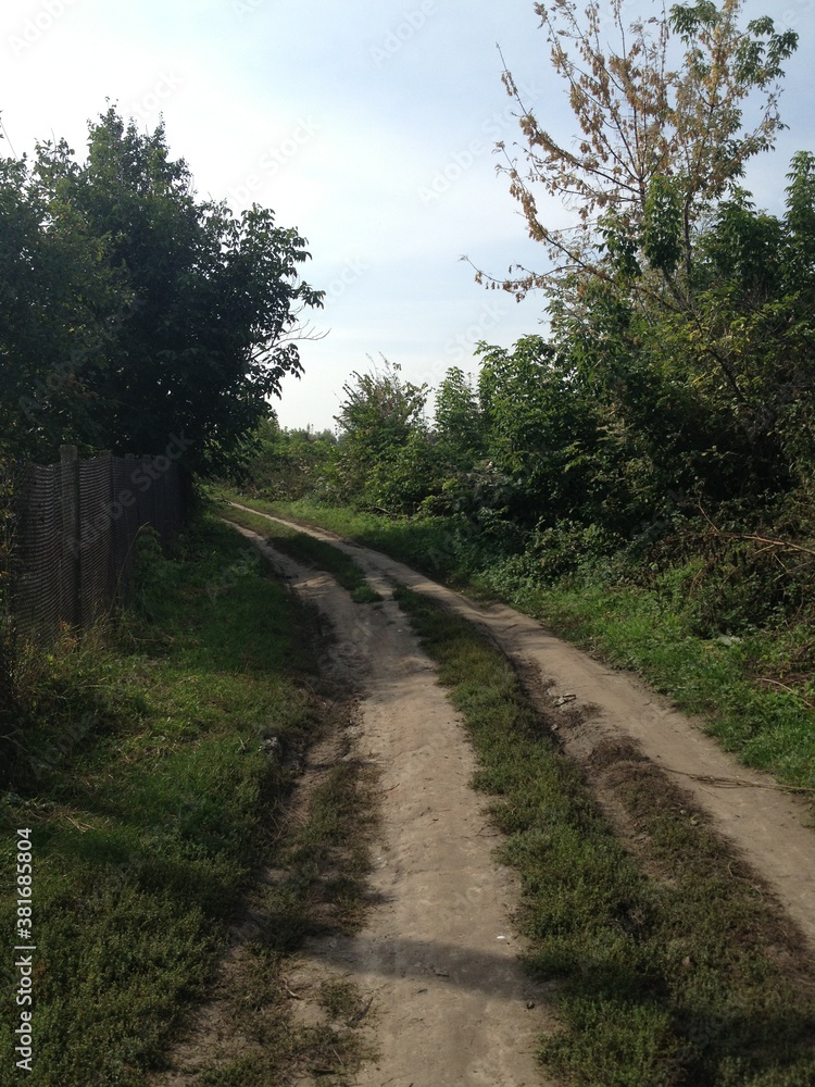 road, forest, nature, tree, landscape, path, grass, sky, trees, rural, green, countryside, country, spring, woods, summer, wood, way, dirt, track, footpath, blue, gravel, trail, clouds road, forest, nature, tree, landscape, path, grass, sky, trees, rural, green, countryside, country, spring, woods, summer, wood, way, dirt, track, footpath, blue, gravel, trail, clouds