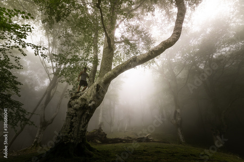 Young caucasian man exploring a foggy forest in Artikutza, Basque Country.