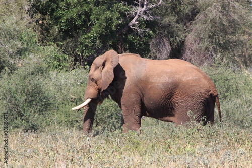 Photo Taken in Kruger National Park