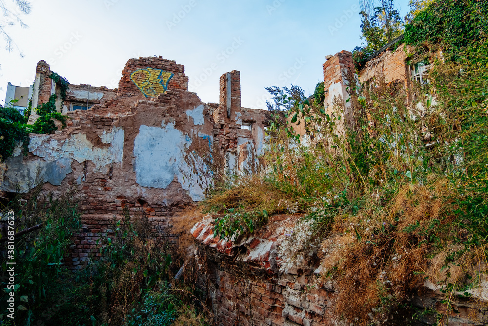 Fototapeta premium Old abandoned overgrown houses in ghost town