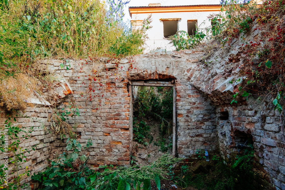 Old abandoned overgrown houses in ghost town Old abandoned overgrown houses in ghost town