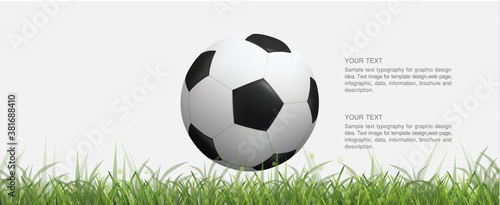 Soccer football ball on green grass field and light blurred bokeh background. Vector.