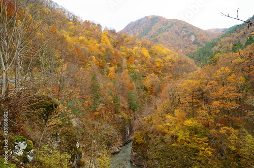 Fototapeta Naklejka Na Ścianę i Meble -  autumn in the Caucasus