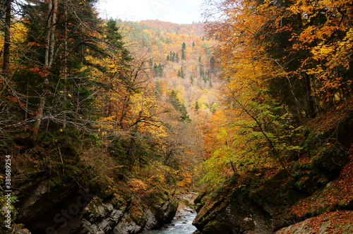 autumn in the Caucasus