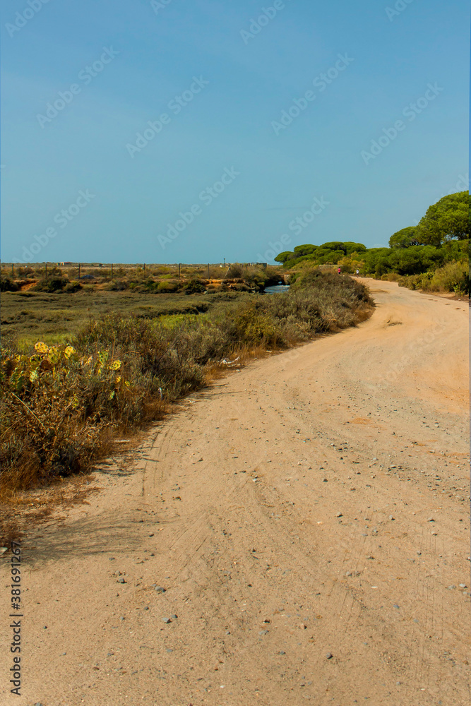 Paisaje, sendero, campo, naturaleza, El Rompido, Doñana, Huelva.