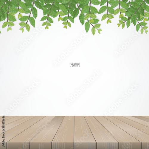 Wooden terrace with framing of green leaves and green natural area. With white area for copy space. Vector.