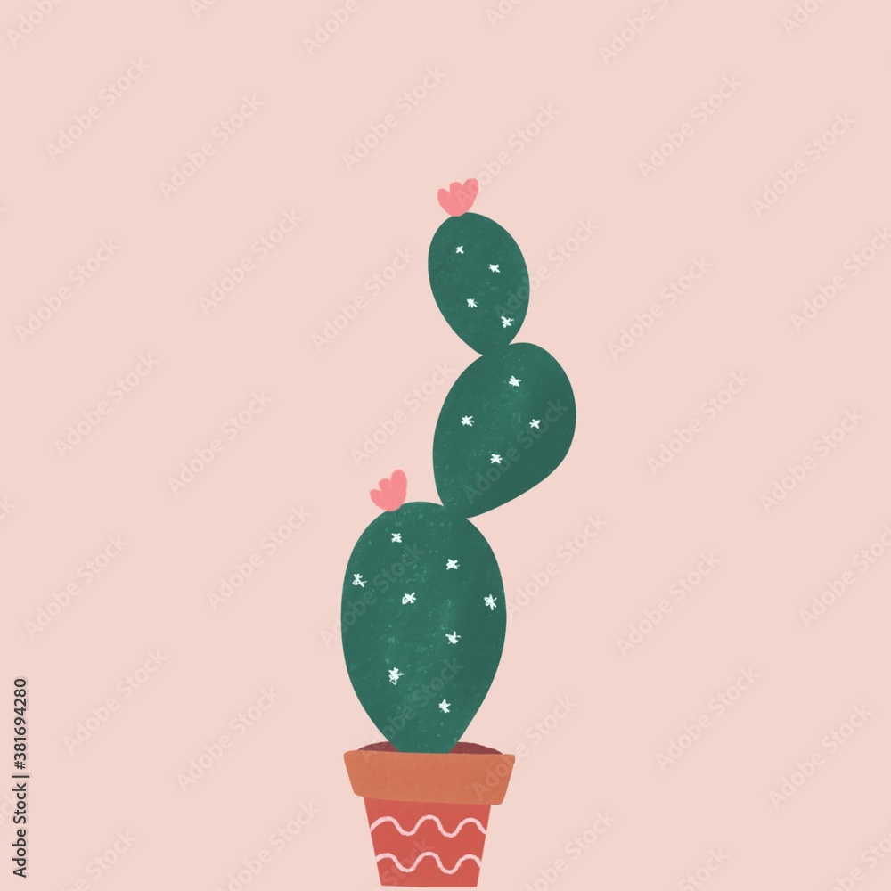 Cactus pink background Cactus pink background