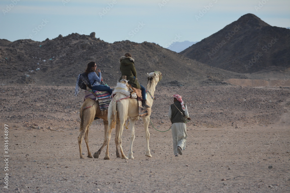 person riding camel in the desert