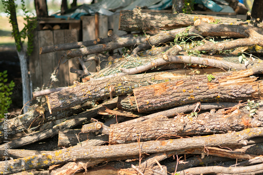 stack of wooden log cut for winter season in the countryside house yard stack of wooden log cut for winter season in the countryside house yard