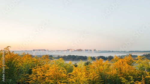 Town Oryol in the morning before dawn in the fog, Solidago canadensis blossoms with bright yellow flowers in the foreground, Russian provincial landscape. 