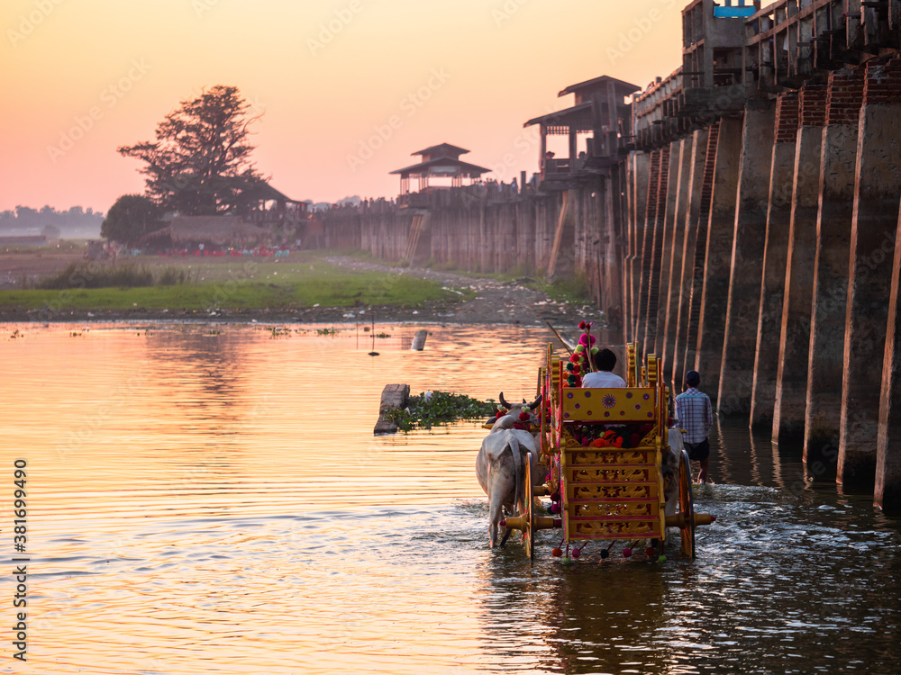 Traditional Shinbyu ceremony cart crossing under the U-Bein Wooden Bridge on Irrawady river at sunset in Mandalay, Myanmar (Burma)