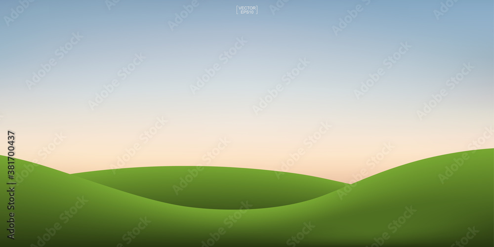 Green grass hill and sunset sky background. Outdoor natural background for template design. Vector.