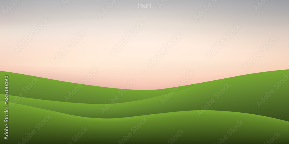 Obraz premium Green grass hill and sunset sky background. Outdoor natural background for template design. Vector.