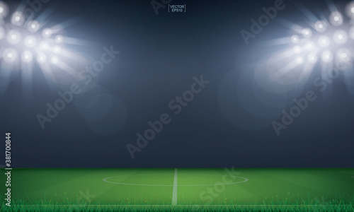 Football field or soccer field stadium background. Vector.