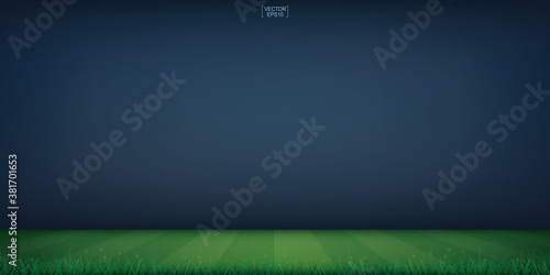 Soccer field or football field stadium background. Vector.