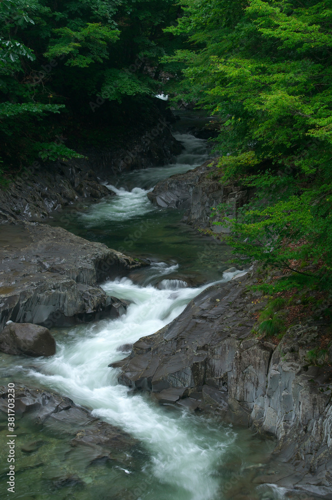 Obraz premium 中津川渓谷