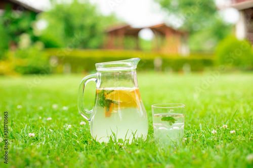 Fresh lemonade in jug and glass on hot summer day, Homemade drink with orange, mint leaves on green grass meadow outdoors, nature background, food and drinks, lifestyle, picnic party, thirst concept