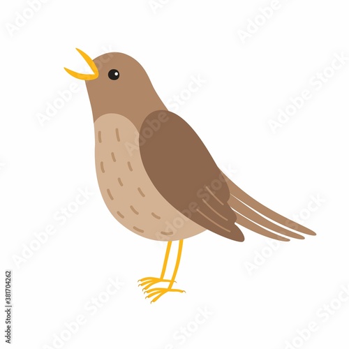 Nightingale bird. Vector illustration Isolated on white background.