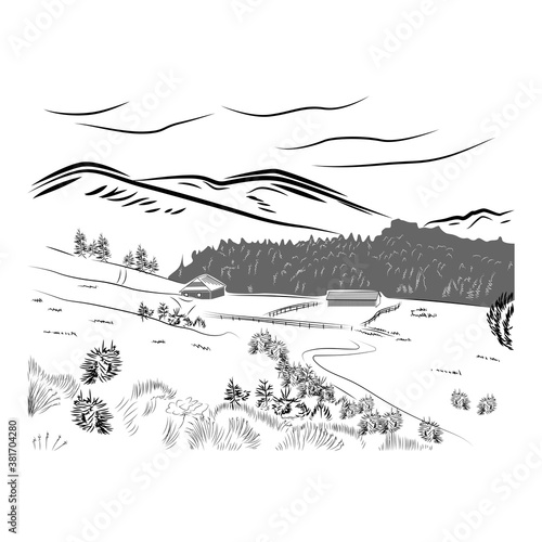 Hand drawn landscape with road to house and pine forest. Sketch line