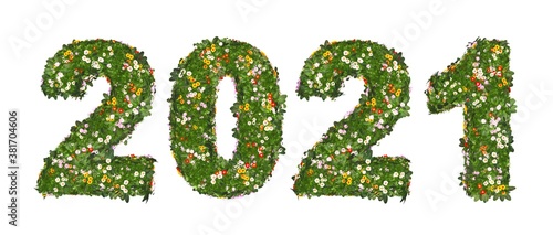 2021 - Blumenwiese