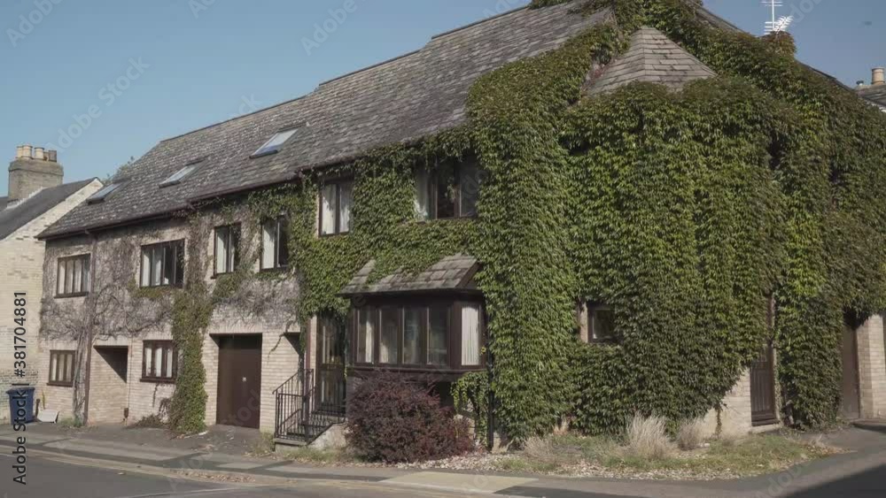 Beautiful view of a big house in cambridge street with a dense green climbing plant on the wall. City garden architecture Beautiful view of a big house in cambridge street with a dense green climbing plant on the wall. City garden architecture