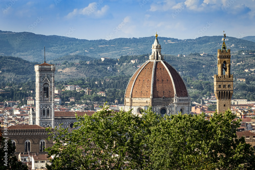Fototapeta premium Santa Maria et tour du Palazzo Vecchio