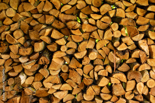 Front view of stack of firewood exposed to backlit sunlight through green foliage. chopped firewood stack for the background