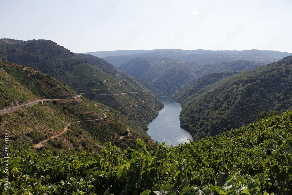 landscape of vineyard in galicia spain