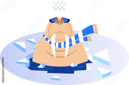 Winter swimming walrus illustration. Walrus in scarf and sunglasses is swimming in the icy water and looks healthy and happy isolated on white
